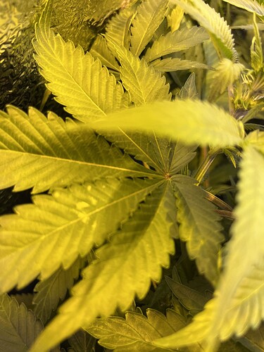 Growreport Bild 6