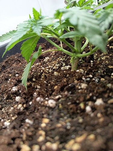 Growreport Bild 11
