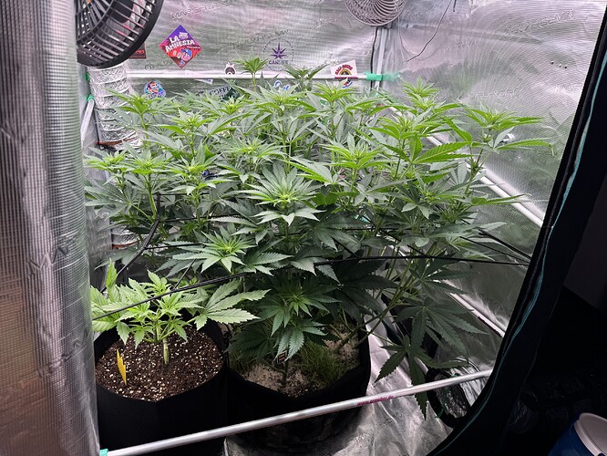 Growreport Bild 14