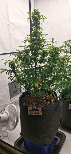 Growreport Bild 16