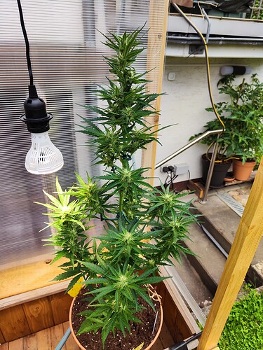 Growreport Bild 17