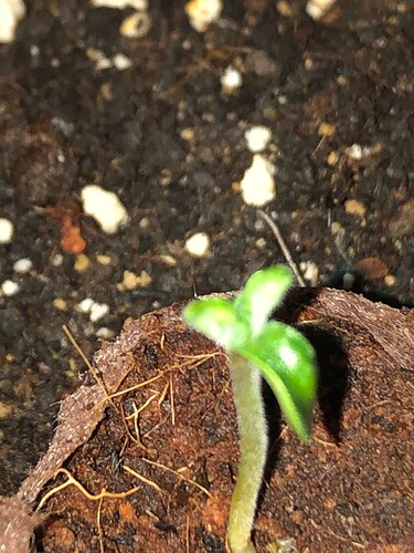 Growreport Bild 6