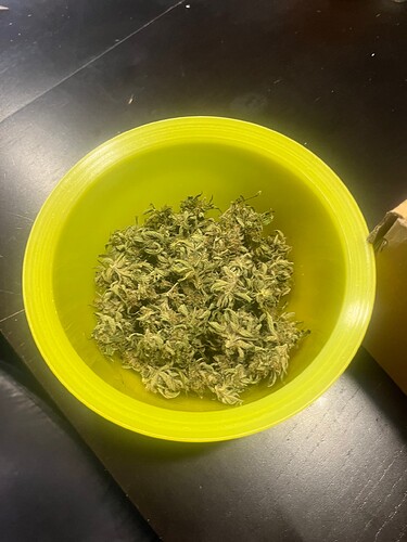 Growreport Bild 22