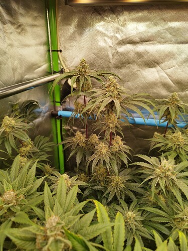 Growreport Bild 14