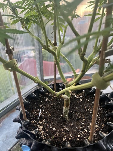 Growreport Bild 8