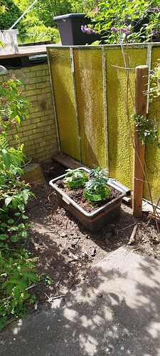 Growreport Bild 21