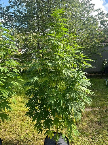 Growreport Bild 20
