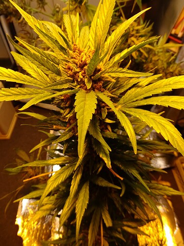Growreport Bild 20