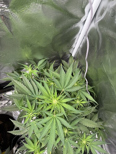 Growreport Bild 28