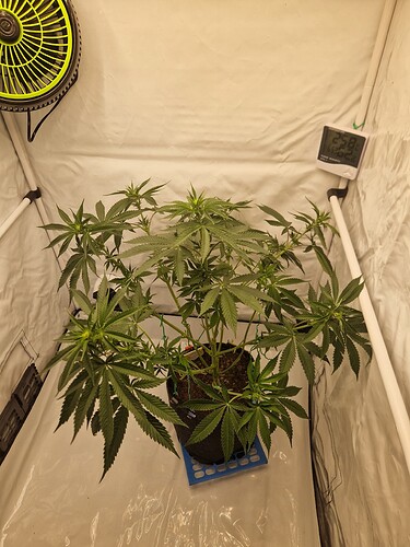 Growreport Bild 22