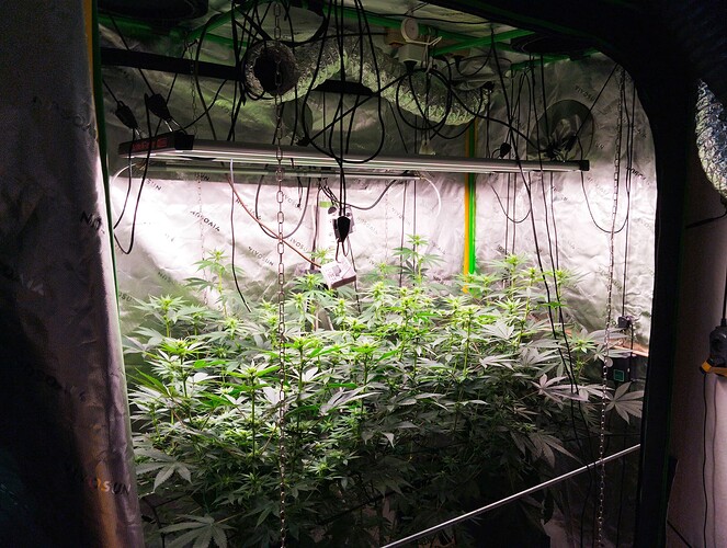 Growreport Bild 4