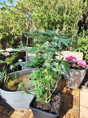 Growreport Bild 10