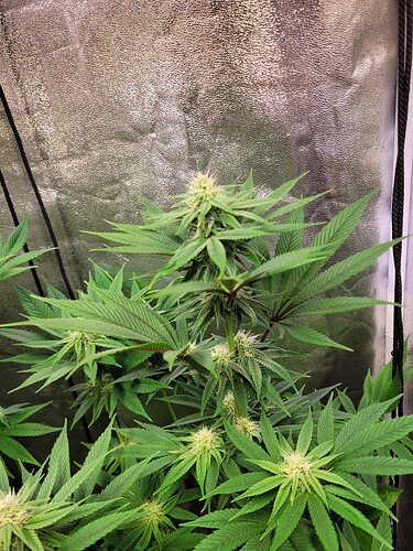 Growreport Bild 8