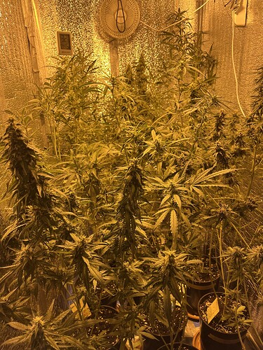 Growreport Bild 2