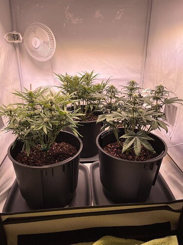 Growreport Bild 23