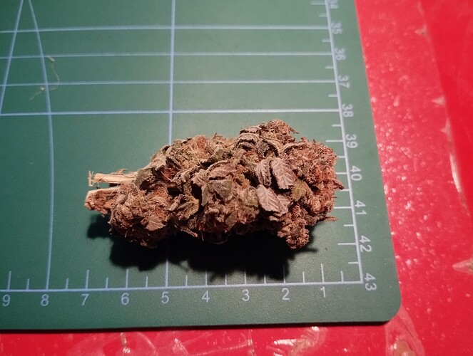 Growreport Bild 3