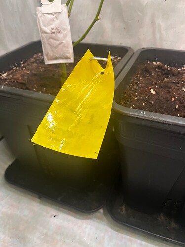 Growreport Bild 5