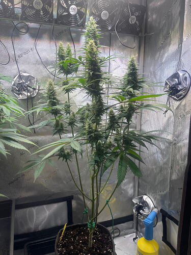 Growreport Bild 16