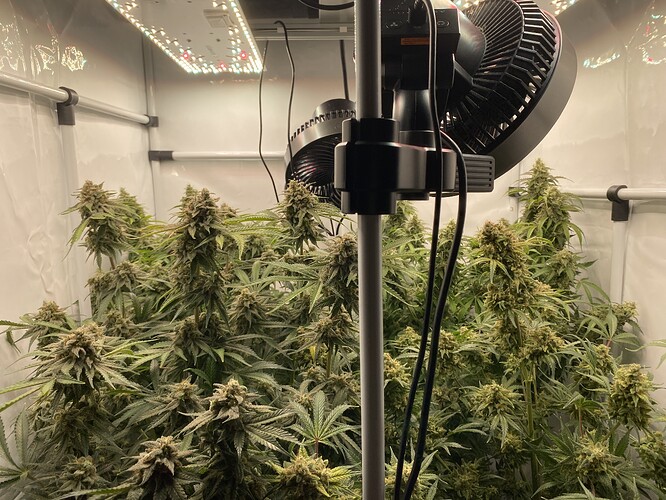 Growreport Bild 15
