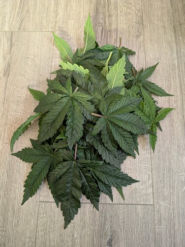 Growreport Bild 16
