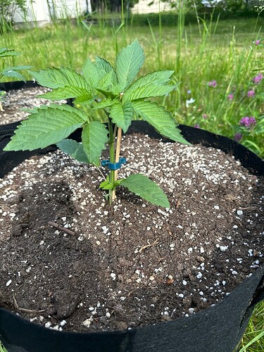 Growreport Bild 12