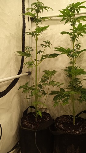 Growreport Bild 3