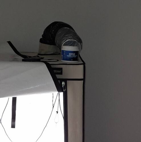 481023293_122169239840293599_2401762991441023981_n