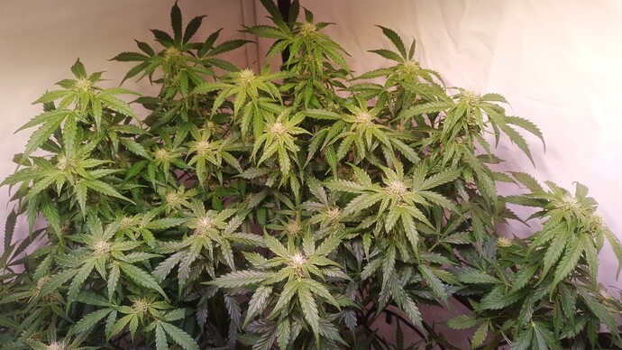 Growreport Bild 14