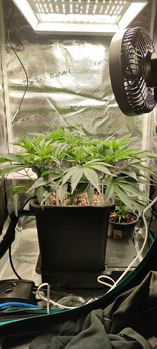 IMG_20250125_120410