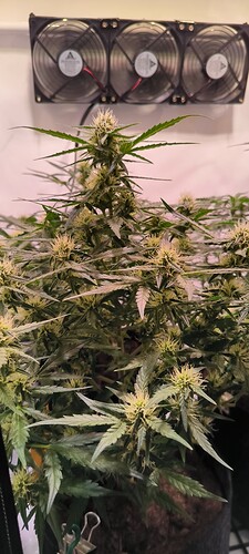 Growreport Bild 12