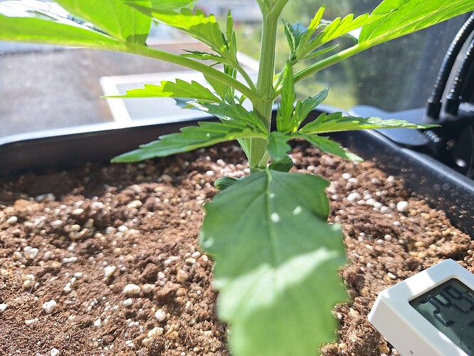 Growreport Bild 14
