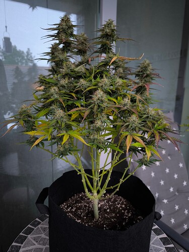 Growreport Bild 26