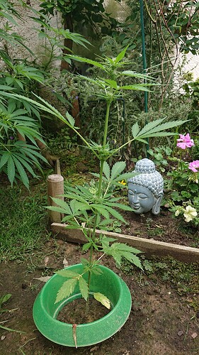Growreport Bild 7