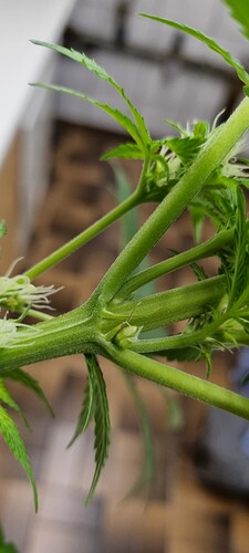 Growreport Bild 14