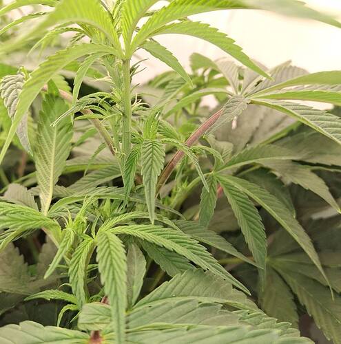 Growreport Bild 14