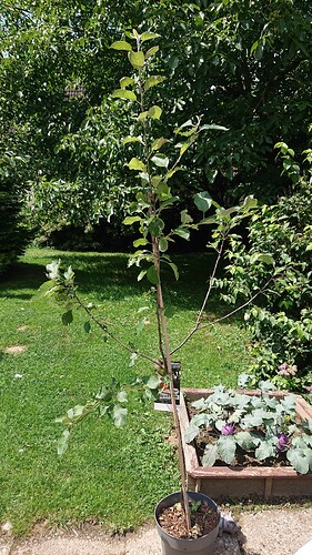 Growreport Bild 20