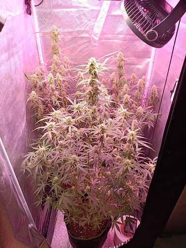 Growreport Bild 10