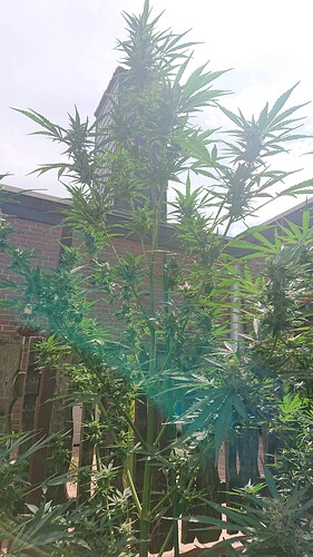 Growreport Bild 23
