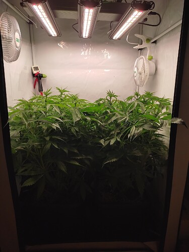 Growreport Bild 10