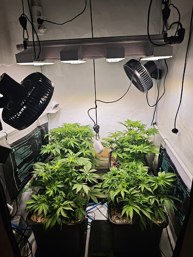Growreport Bild 22