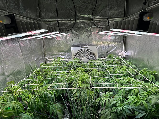 Growreport Bild 19