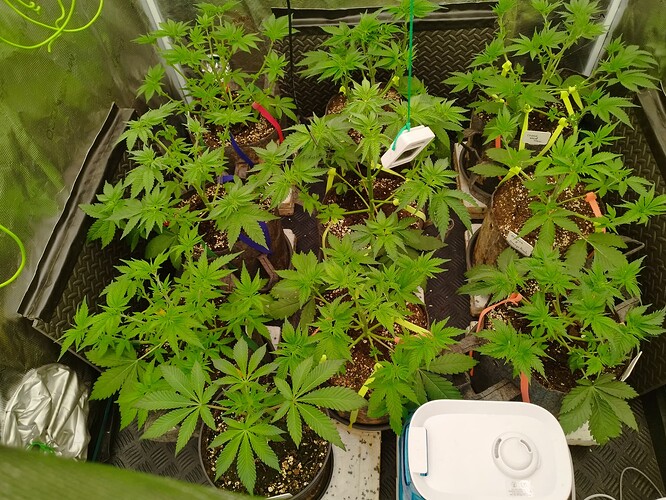 Growreport Bild 5