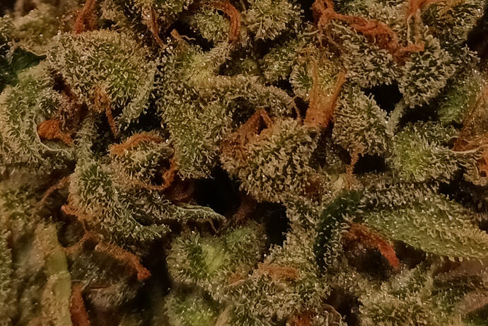 Growreport Bild 21