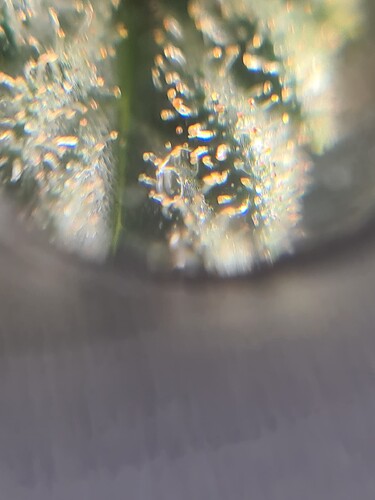 Growreport Bild 20