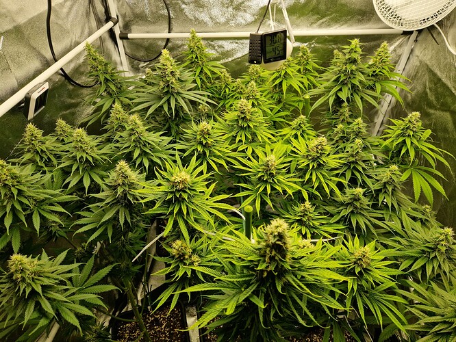 Growreport Bild 7