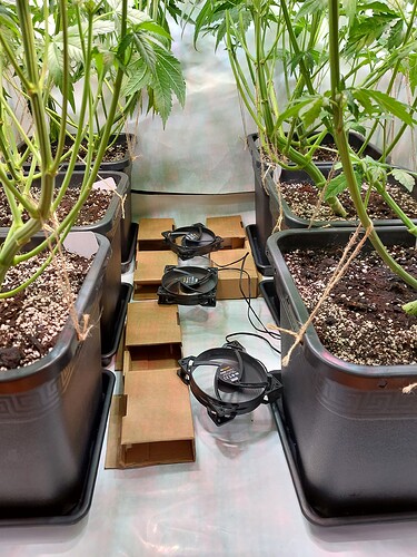 Growreport Bild 4
