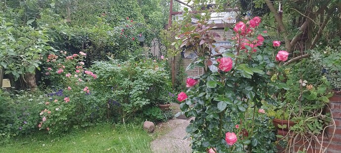 Growreport Bild 17