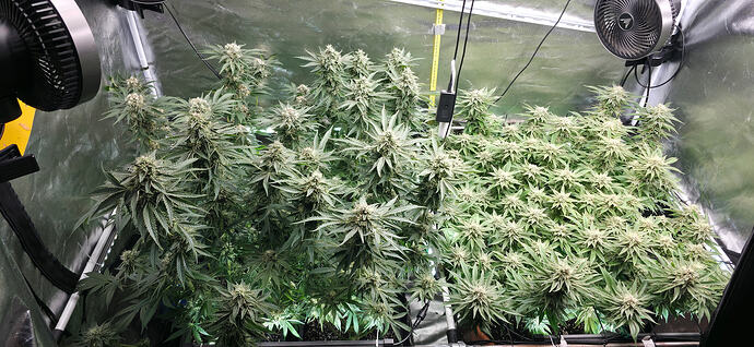 Growreport Bild 18