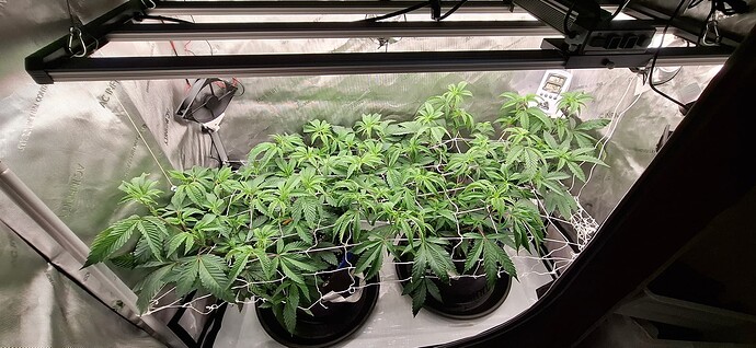 Growreport Bild 2