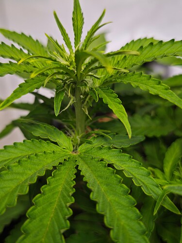 MVIMG_20251015_213521